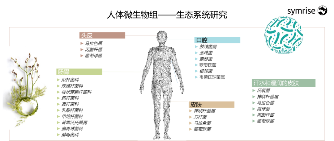 中國(guó)美容博覽會(huì)